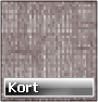 Kort 