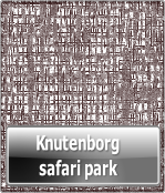 Knutenborg 
safari park